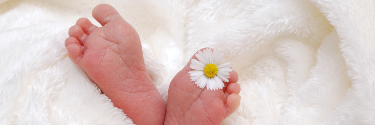 Il gruppo di esercizi bioenergetici di aiuta a tornare in sintonia con il tuo corpo I piedini di un neonato, con una margherita tra le dita. Il gruppo di esercizi bioenergetici di aiuta a tornare in sintonia con il tuo corpo