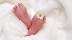 I piedini di un neonato, con una margherita tra le dita. Il gruppo di esercizi bioenergetici di aiuta a tornare in sintonia con il tuo corpo