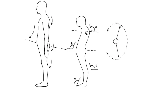 Gli angoli ottusi indicano una posizione scarica e poco tonica A sinistra, la silhouette di una persona con la postura corretta, diritta; a destra la silhouette di un carattere orale. Gli angoli ottusi indicano una posizione scarica e poco tonica
