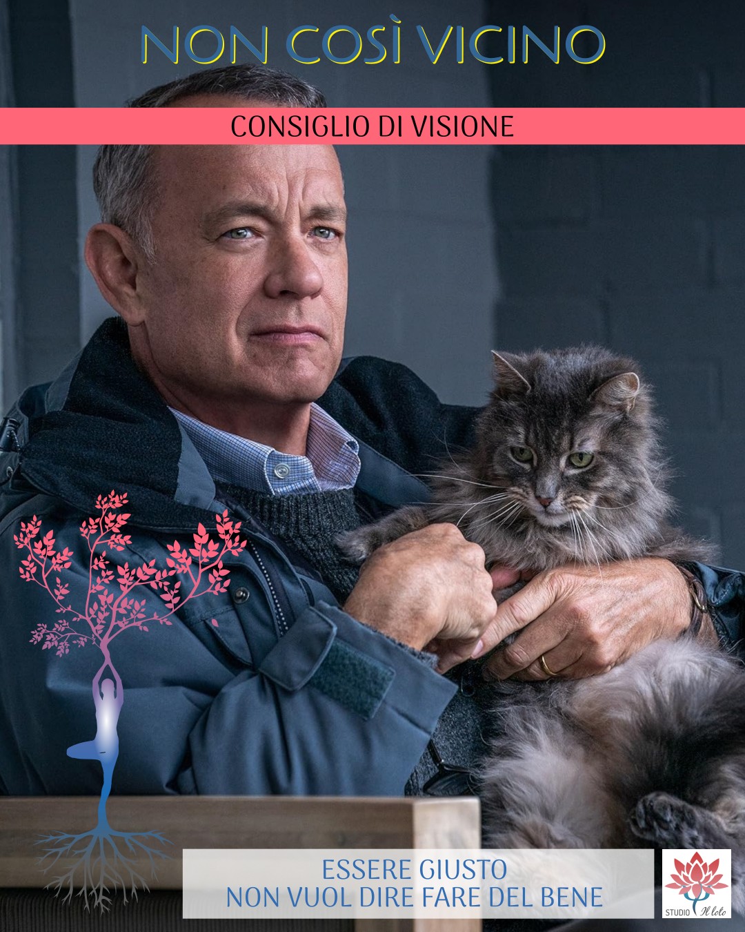 Otto (Tom Hanks) e il gatto 20260216