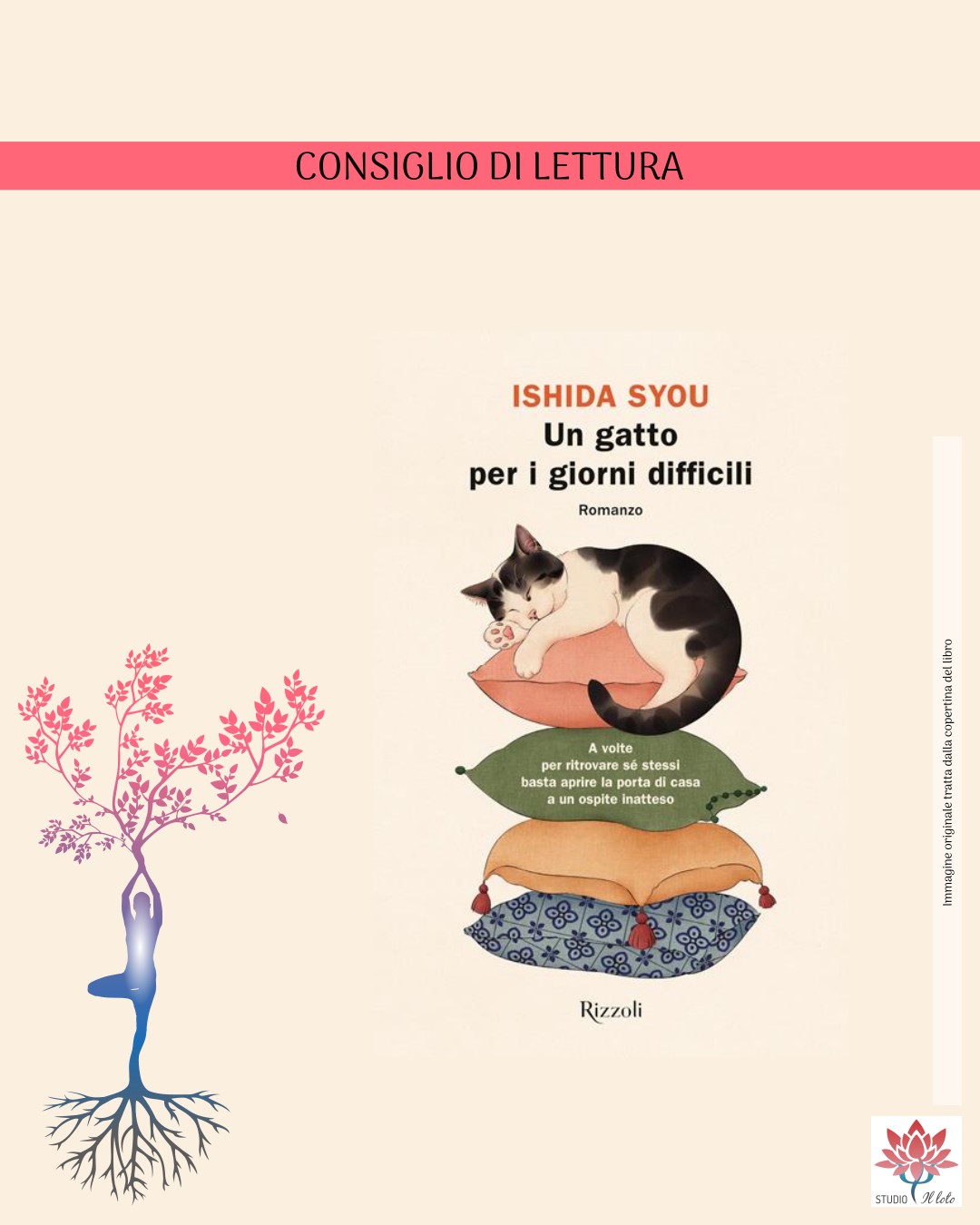 La copertina del libro La copertina del libro